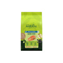 Green chilly powder super food nutritional powder